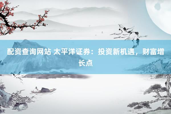 配资查询网站 太平洋证券：投资新机遇，财富增长点