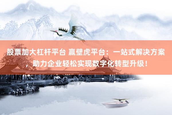 股票加大杠杆平台 赢壁虎平台：一站式解决方案，助力企业轻松实现数字化转型升级！