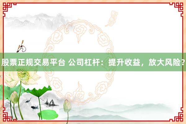 股票正规交易平台 公司杠杆：提升收益，放大风险？