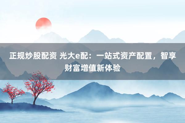 正规炒股配资 光大e配：一站式资产配置，智享财富增值新体验