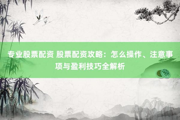 专业股票配资 股票配资攻略：怎么操作、注意事项与盈利技巧全解析