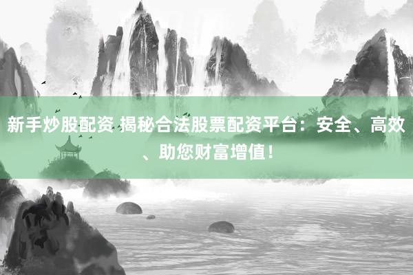 新手炒股配资 揭秘合法股票配资平台：安全、高效、助您财富增值！