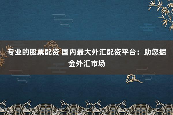 专业的股票配资 国内最大外汇配资平台：助您掘金外汇市场
