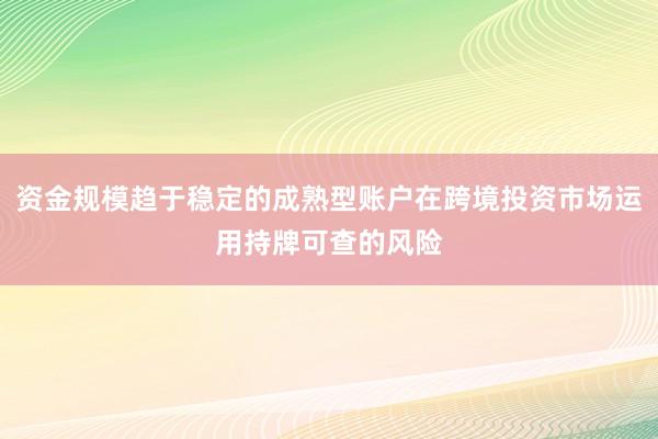 资金规模趋于稳定的成熟型账户在跨境投资市场运用持牌可查的风险