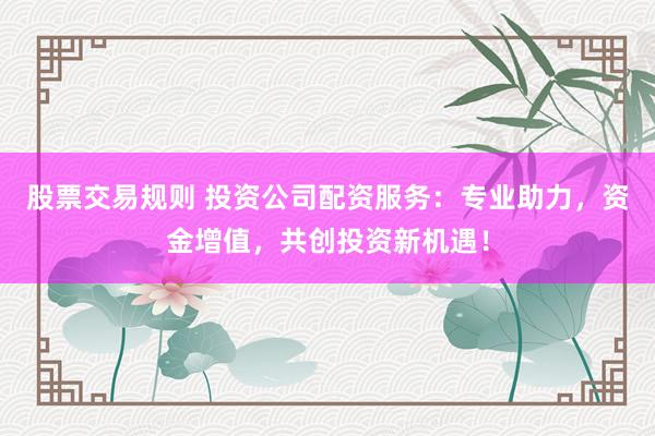 股票交易规则 投资公司配资服务：专业助力，资金增值，共创投资新机遇！