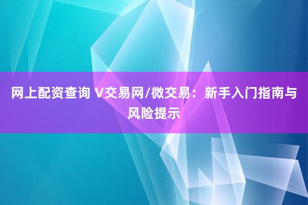 网上配资查询 V交易网/微交易：新手入门指南与风险提示